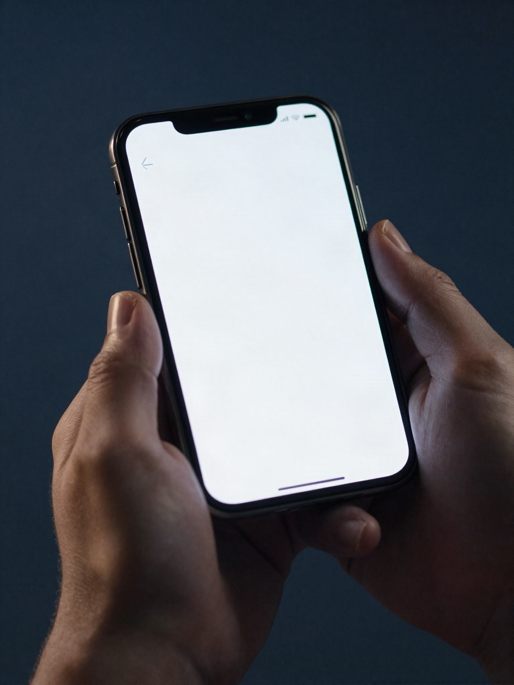 Hands holding a phone showing a payment